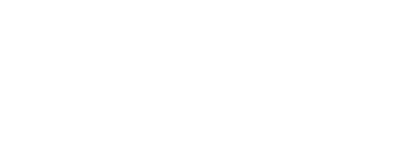 AMYSA